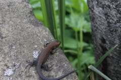 IMG_1846
