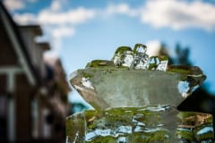 IMG_4013